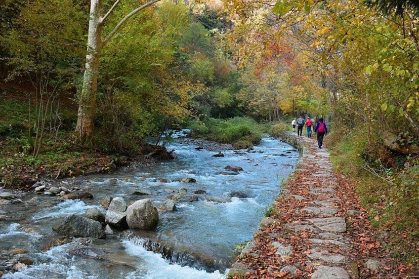 Une rivière avec des rochers, un sentier de pierres et des personnes qui se promènent dans une forêt. 1