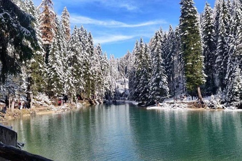 Day trip to the Dolomites, Cortina and Lake Braies from Venice 2