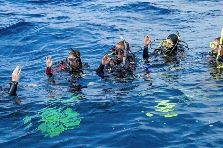 Vier duikers in de oceaan met uitgestoken armen. 5