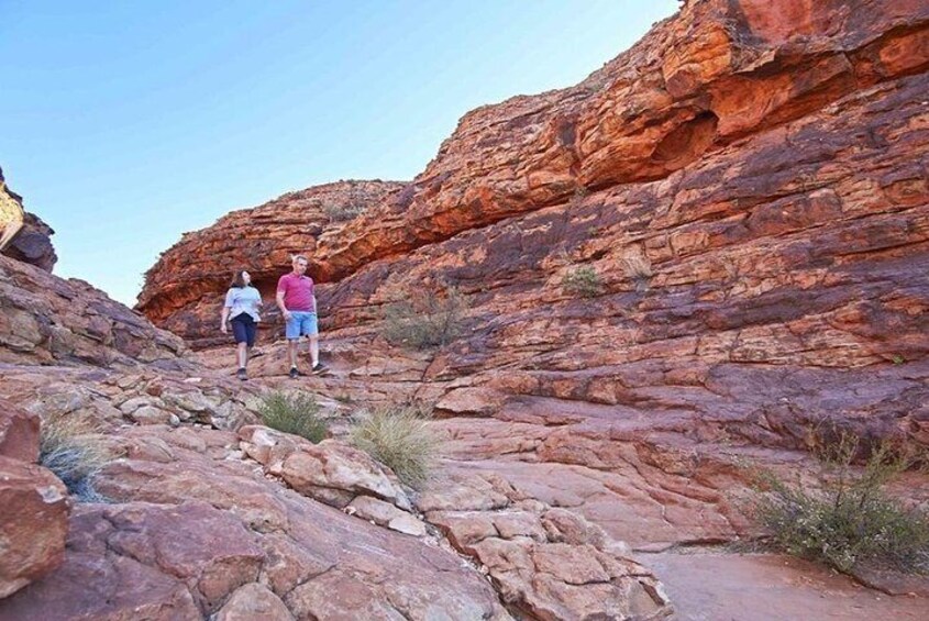 The Amazing Kings Canyon: 4-Hours Walking Tour and Hike