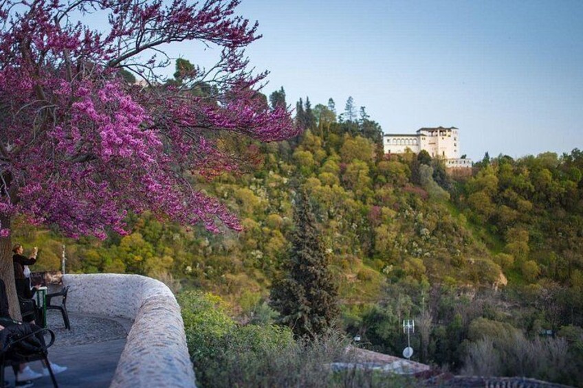 4 neighborhoods 4 cultures. Half day private tour in Granada 1
