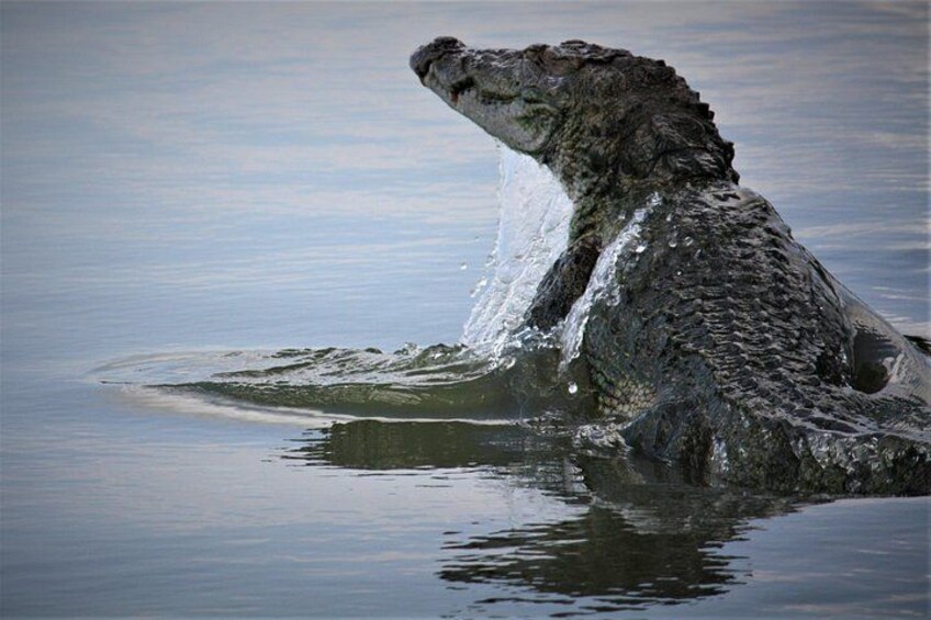 Yala National Park Jeep Safari - One Day Trip 3
