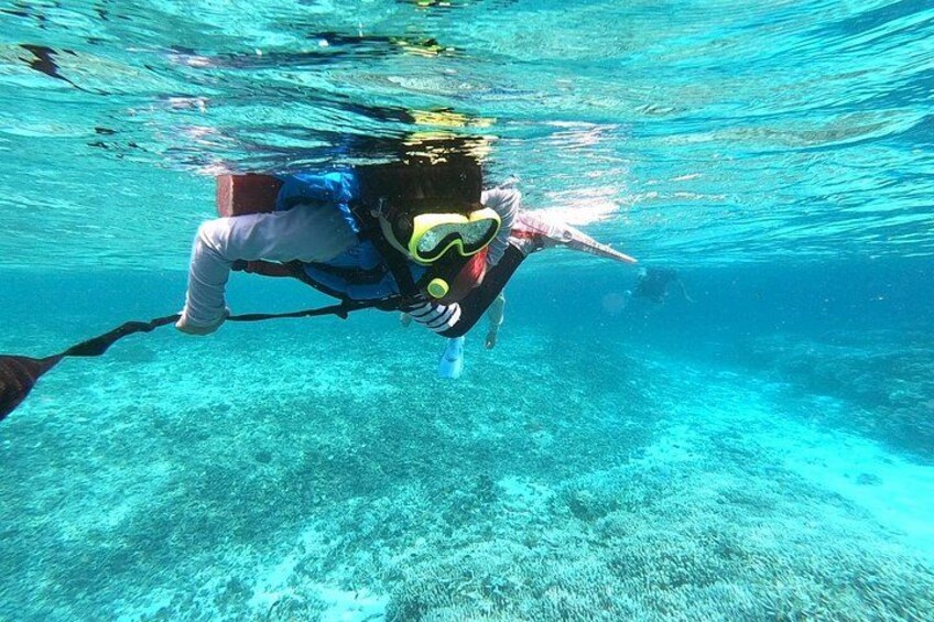 Okinawa Iriomote Snorkeling Tour at Coral Island 4