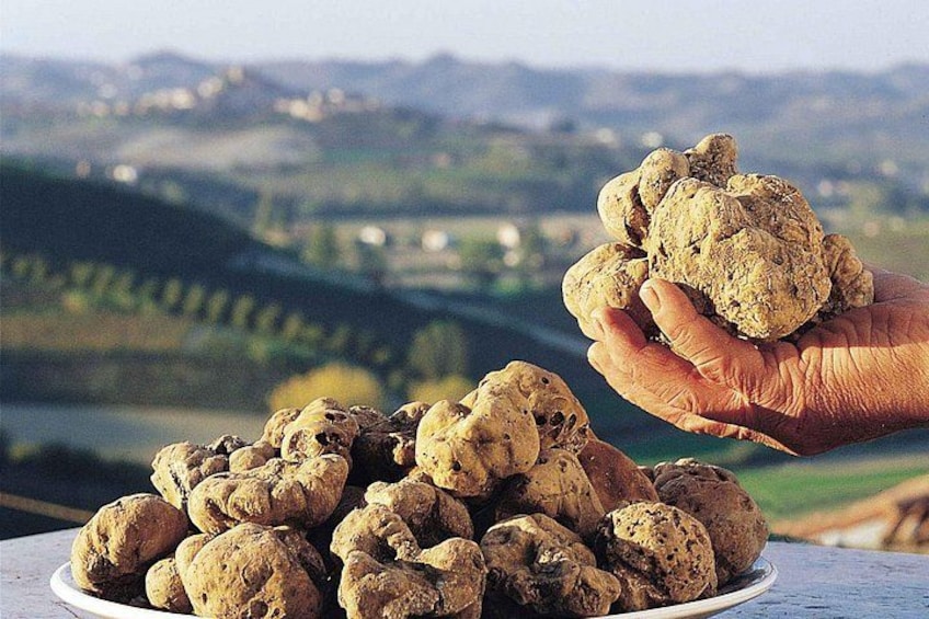 En hand håller en potatis över en tallrik med potatisar, med ett vackert landskap i bakgrunden. 2