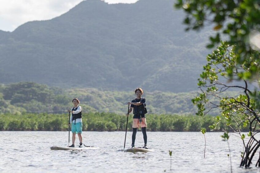 [Iriomote]SUP/Canoe Tour at Mangrove Forest+Splash Canyoning!!