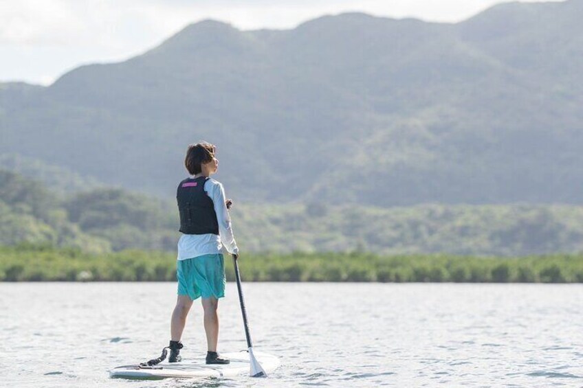 [Iriomote]SUP/Canoe Tour at Mangrove Forest+Splash Canyoning!!