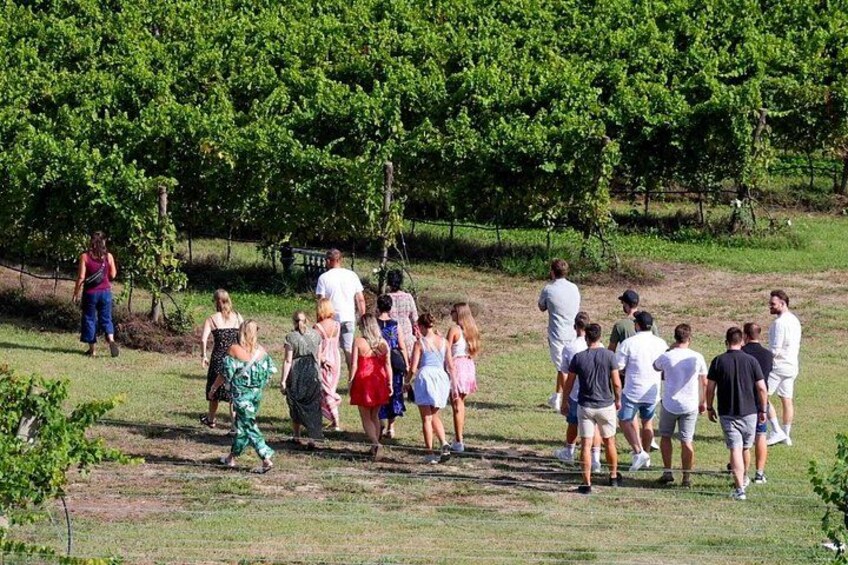 A group of people walking in a grassy field with trees in the background. 5