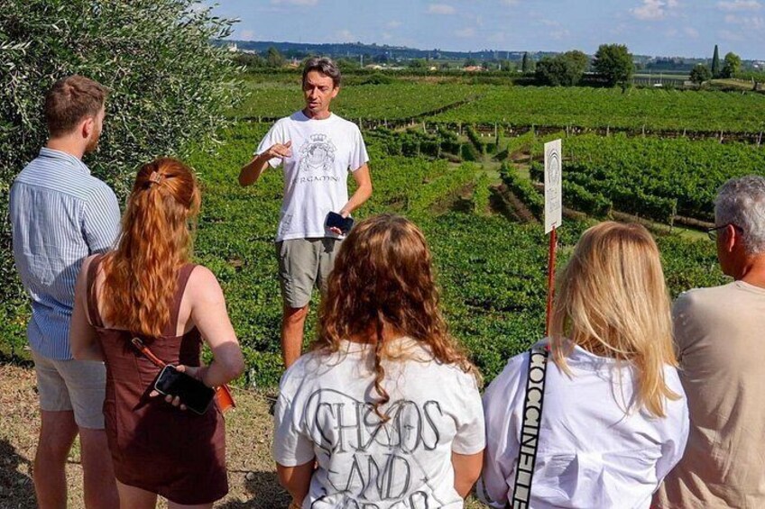 A vineyard tour with visitors. 2