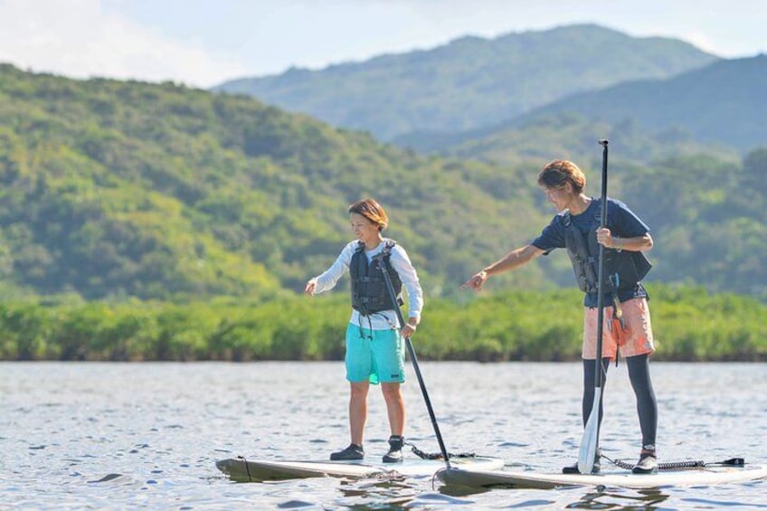 Two people paddleboarding on a calm body of water with a forested mountain range in the background. 4