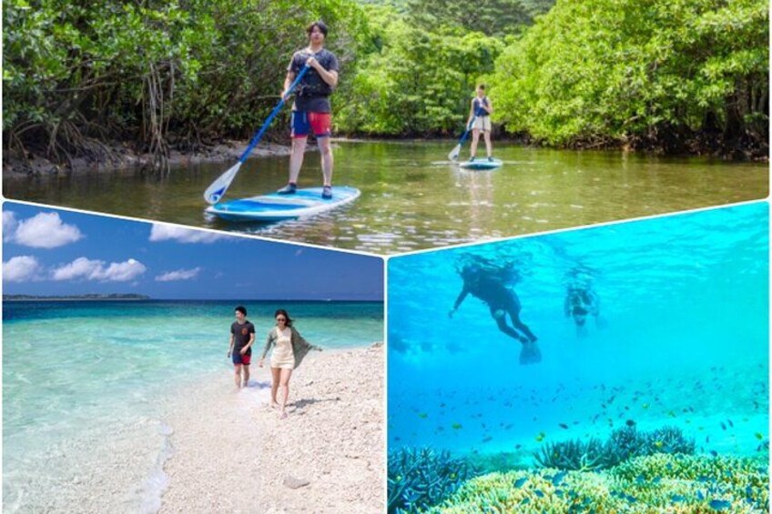 Iriomote Island 1-Day Snorkeling & Mangrove SUP or Canoe 1