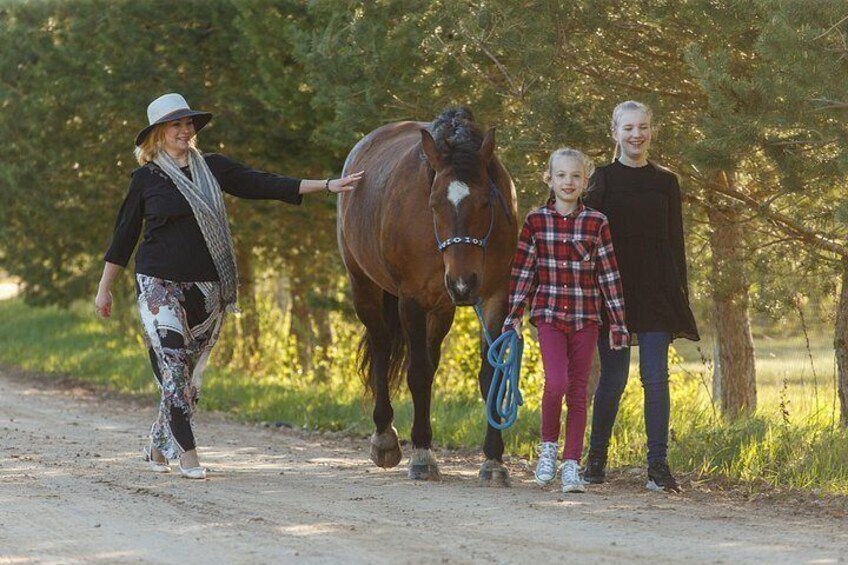 Horse walk 3