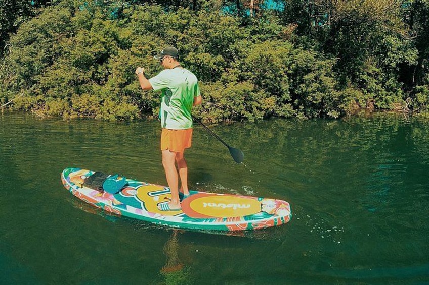 A person paddleboarding on a colorful board with a forested area in the background. 5