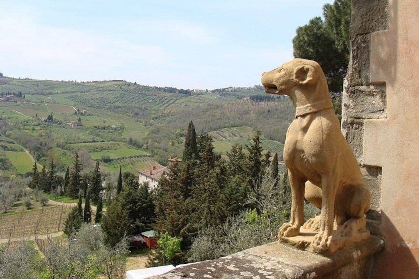 Una estatua de piedra de un perro con vistas a un paisaje montañoso con viñedos y un edificio de techo rojo. 1