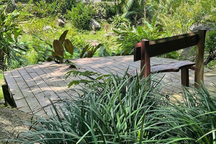 A wooden bench on a paved area surrounded by lush greenery. 5
