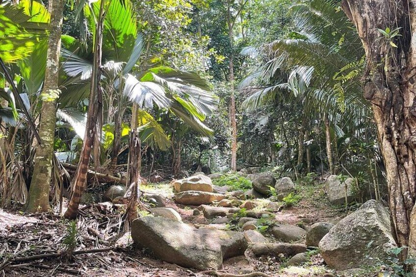 Seychelles Island Tour (PRIVATE 4 hours or 8 Hours) 5