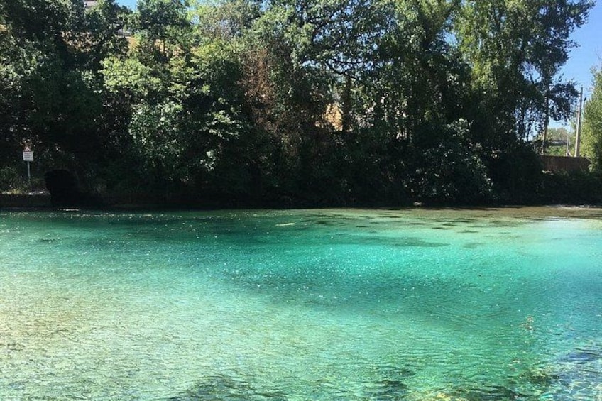 A clear body of water with a forested area in the background. 3