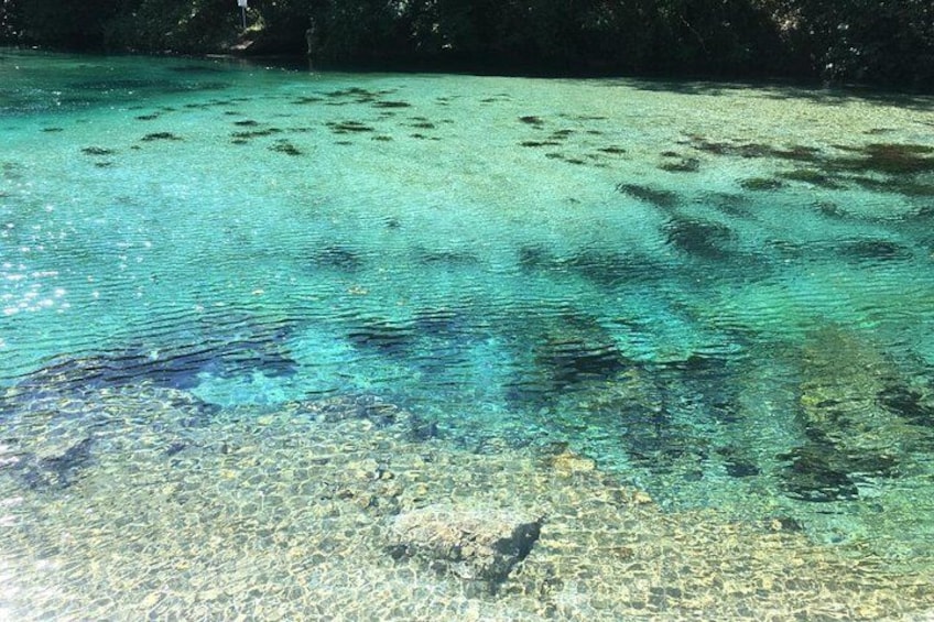 A clear turquoise sea with visible underwater rocks and seaweed. 1