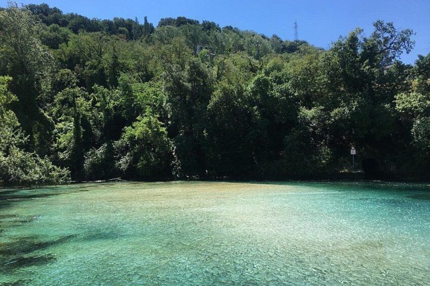 A clear turquoise sea, dense green forest, and a hill in the background. 2
