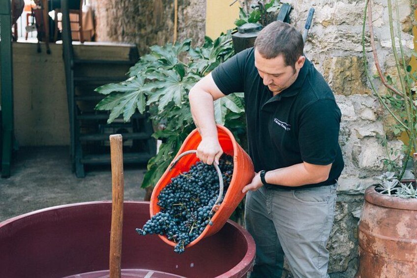 Private Grape stomping at Chianti Farmhouse 4
