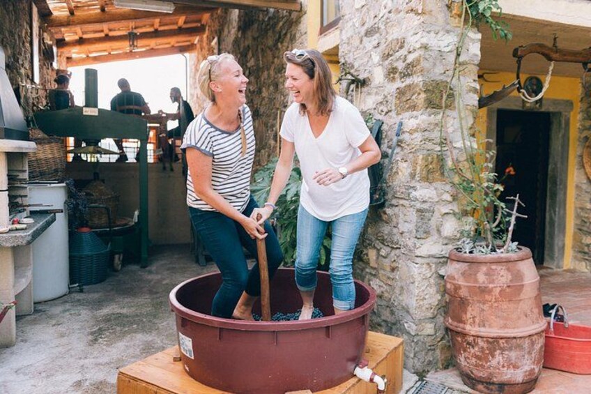 Private Grape stomping at Chianti Farmhouse 1
