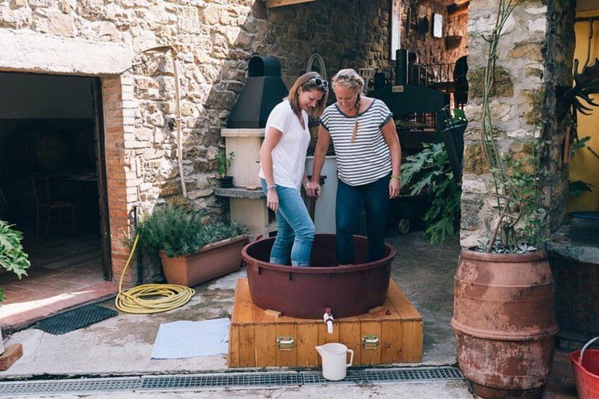 Private Grape stomping at Chianti Farmhouse 3
