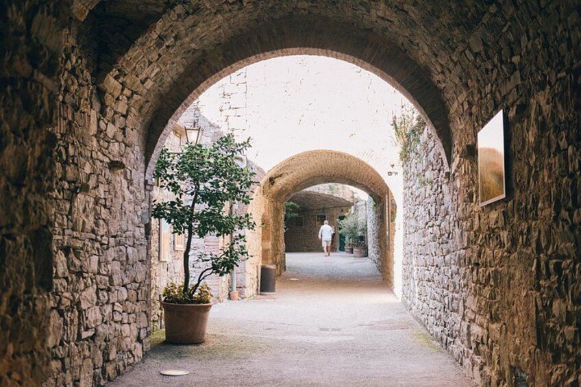 Private Ebike Tour in Chianti 3