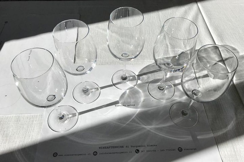 Wine tasting Versilia 4