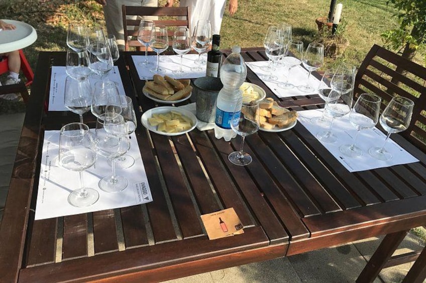 Wine tasting Versilia with sommelier 5