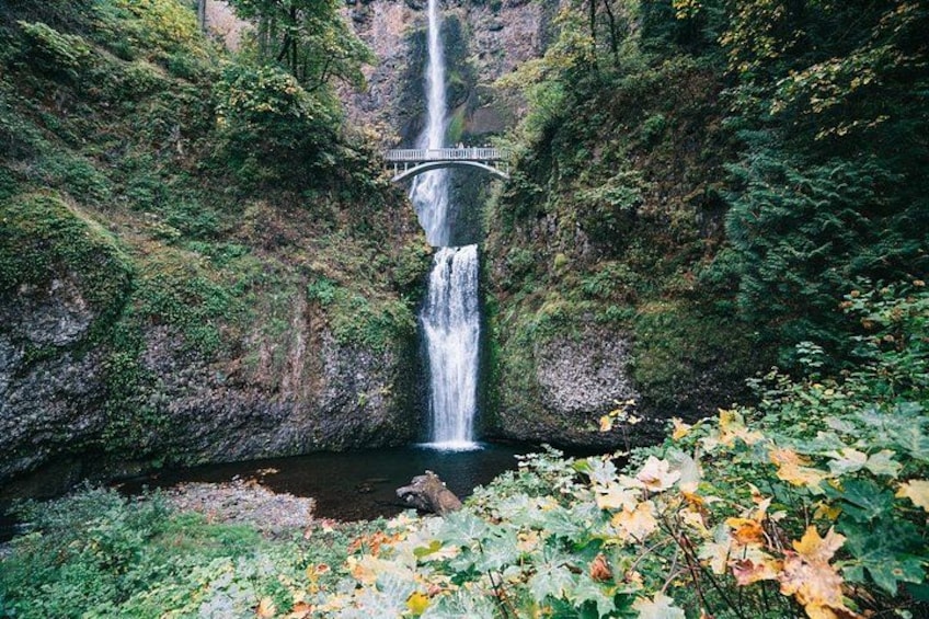 Multnomah Falls 5