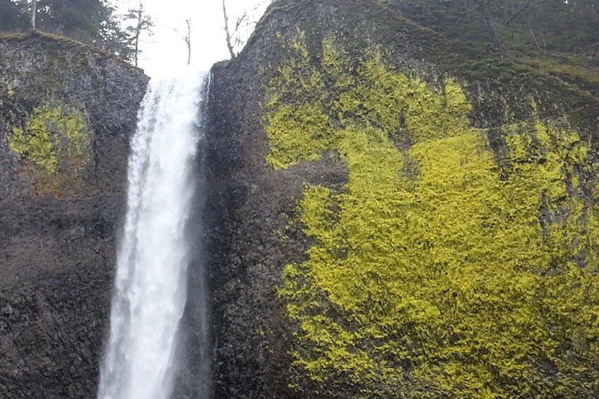 Afternoon Multnomah Falls and Gorge Waterfalls Tour 3