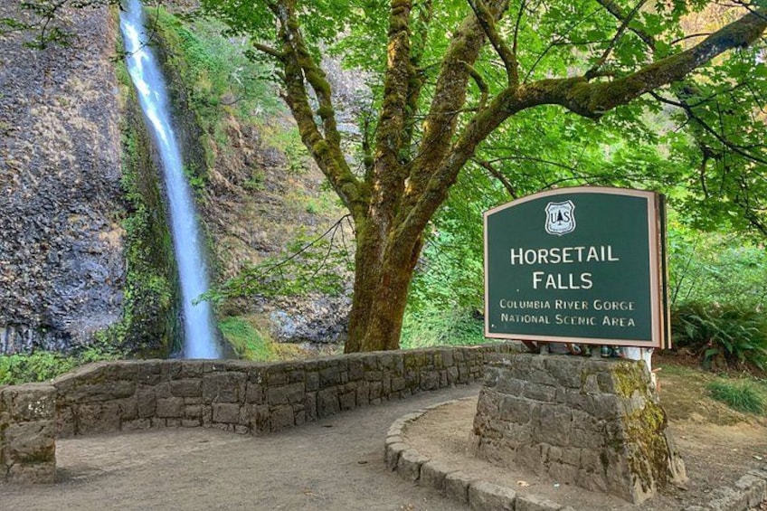 Afternoon Multnomah Falls and Gorge Waterfalls Tour 3