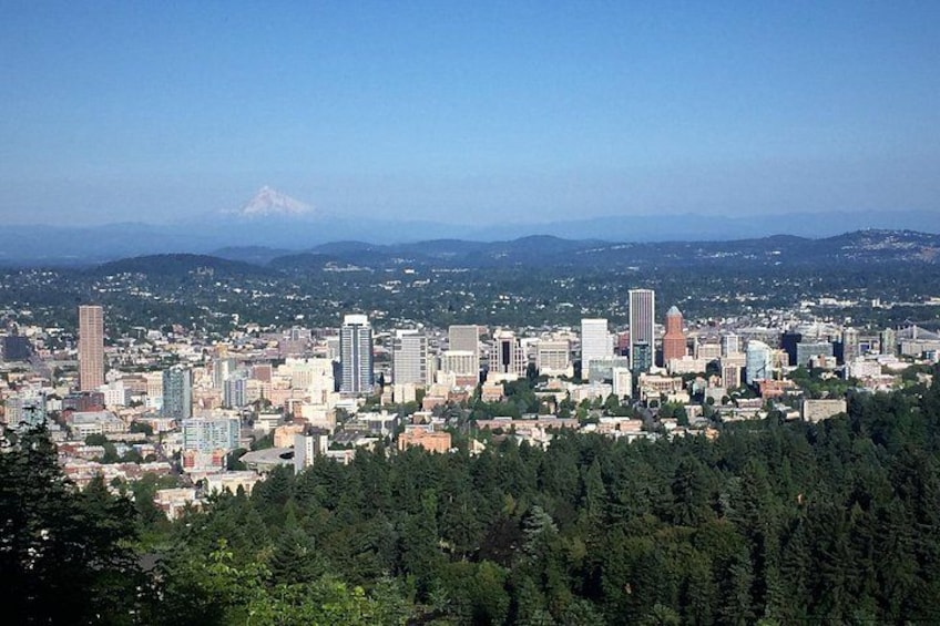 A cityscape with a dense cluster of buildings, a prominent mountain in the background, and a forested area in the foreground. 2