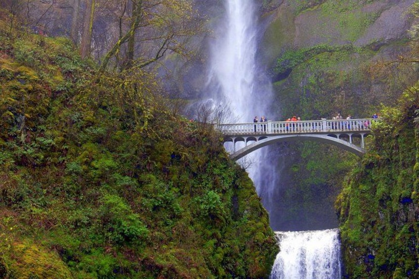 Benson Bridge at Multnomah Falls 1