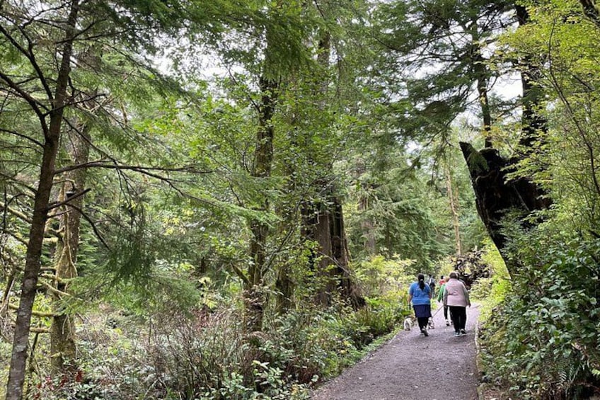 Hiking trail to Short Sands Beach 2