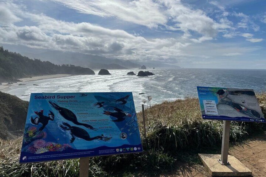 Vista costera con dos carteles informativos sobre zonas de pesca para aves marinas. 4