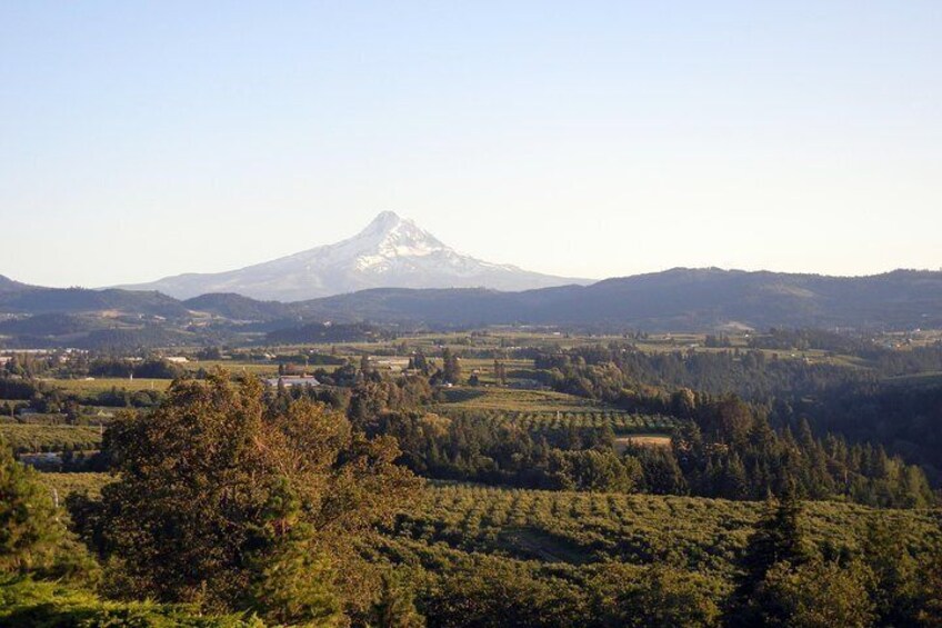 View of Mt. Hood from Hood River