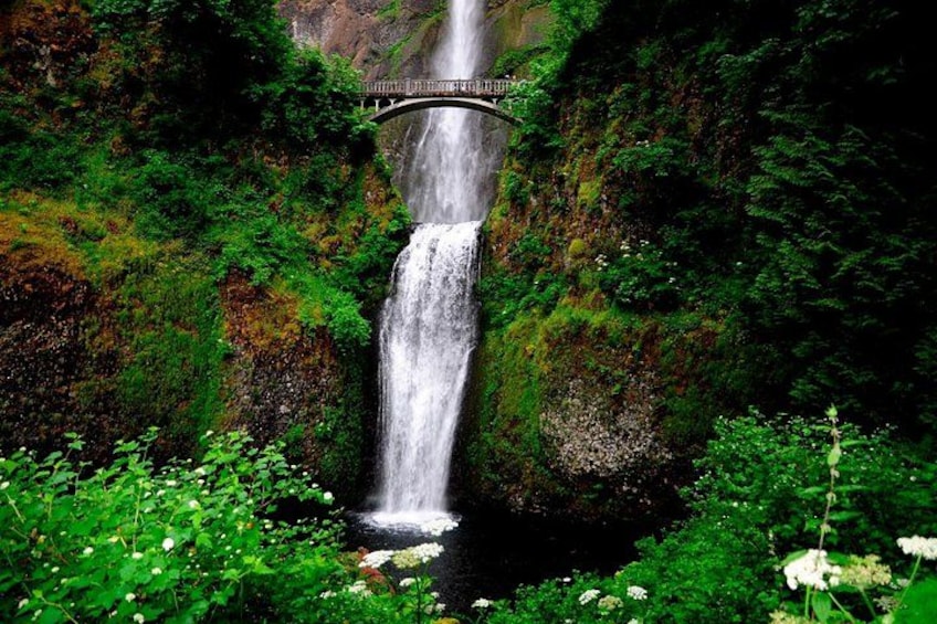 Multnomah Falls 4