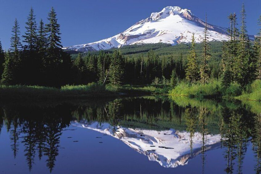 Mt. Hood