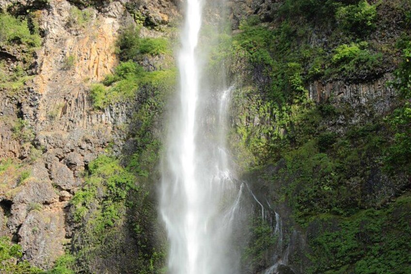 Morning Multnomah Falls and Gorge Waterfalls Tour 3