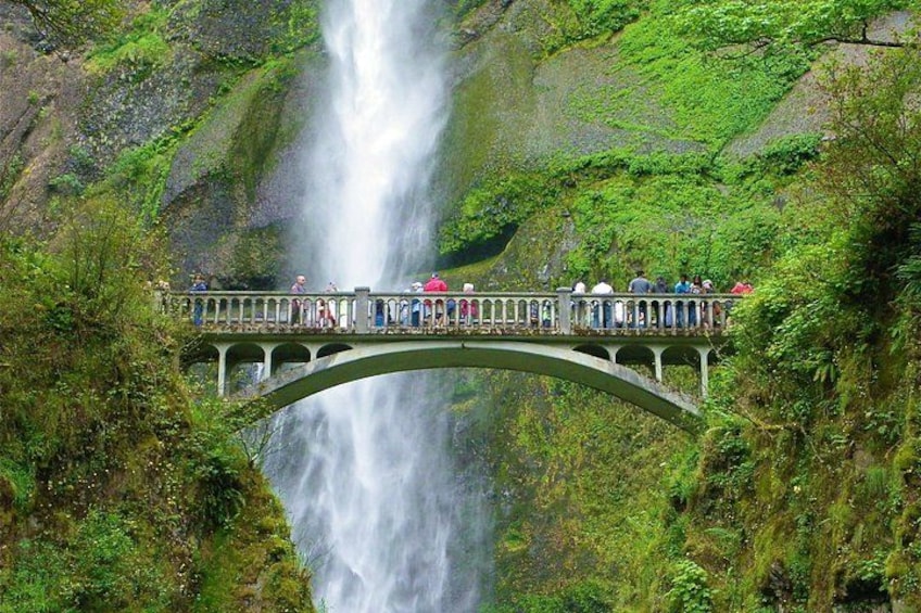 Morning Multnomah Falls and Gorge Waterfalls Tour 3