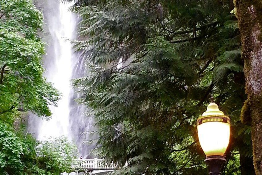 Morning Multnomah Falls and Gorge Waterfalls Tour 5