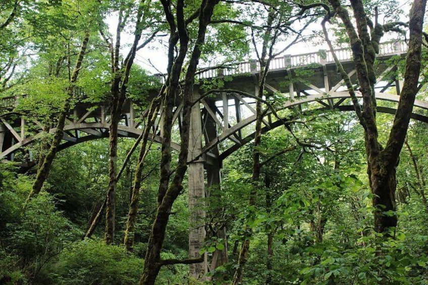 Morning Multnomah Falls and Gorge Waterfalls Tour 2