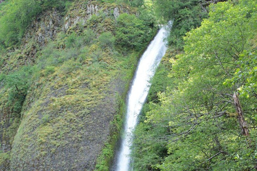 Morning Multnomah Falls and Gorge Waterfalls Tour 4
