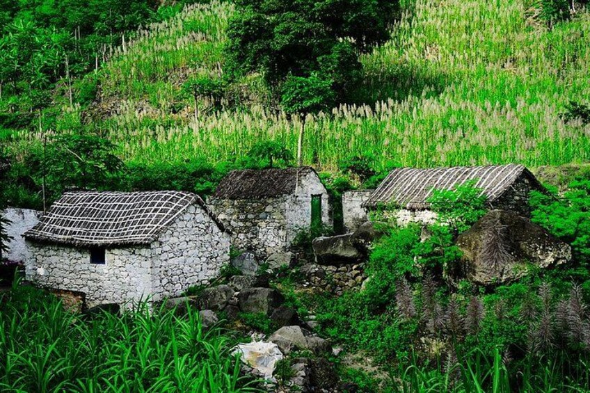 A rural landscape with stone houses, lush greenery, and a hillside. 2