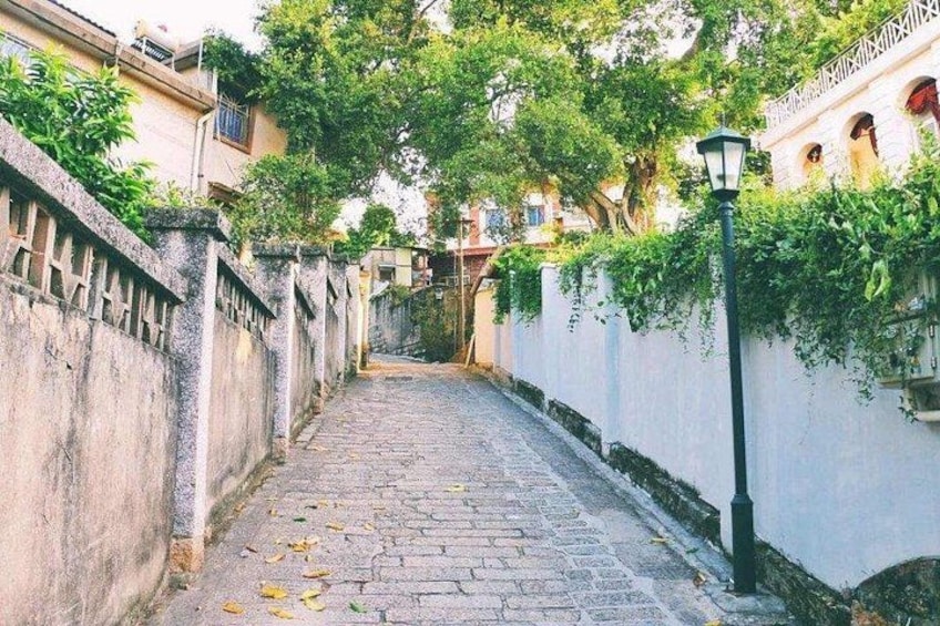 A narrow cobblestone street flanked by high walls and lush greenery. 1