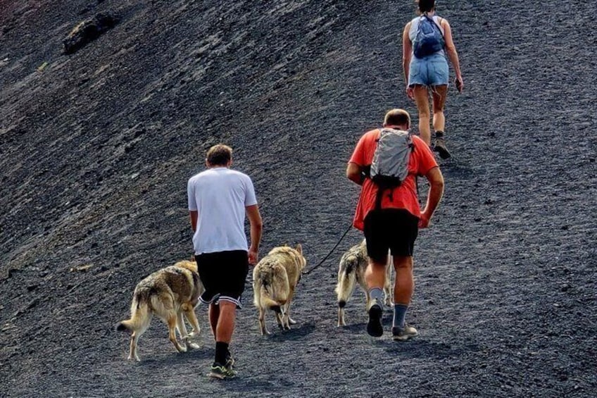 A group of hikers with dogs on a steep, rocky slope. 2