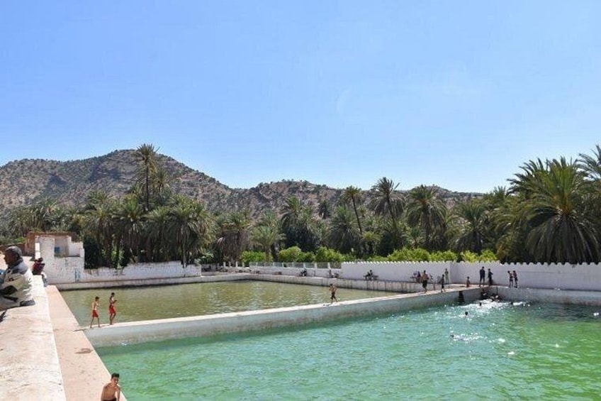 A swimming pool with people in the water, palm trees, and a mountain in the background. 2