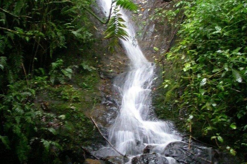 La Paz Waterfalls 4