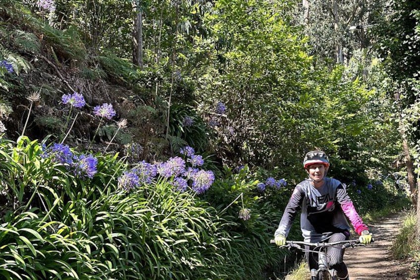 Une personne fait du vélo sur un sentier bordé d’une végétation luxuriante et de fleurs violettes. 5