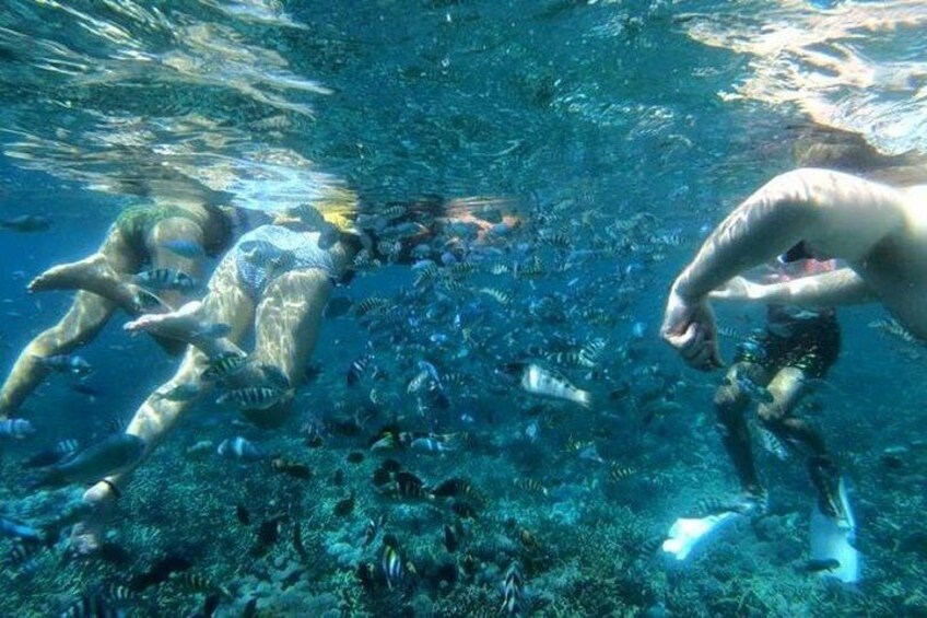 Three Islands Snorkeling (3 Spots) Manta Rays - From Lembongan 2